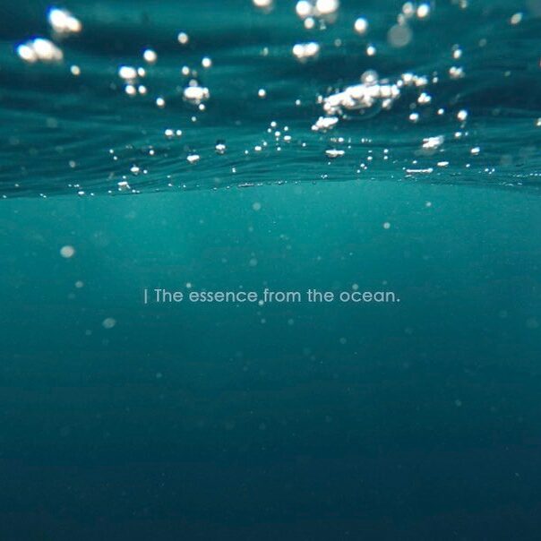 洗髮精推薦 dcard