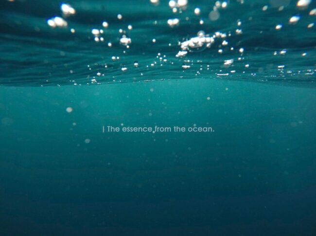 洗髮精推薦 dcard