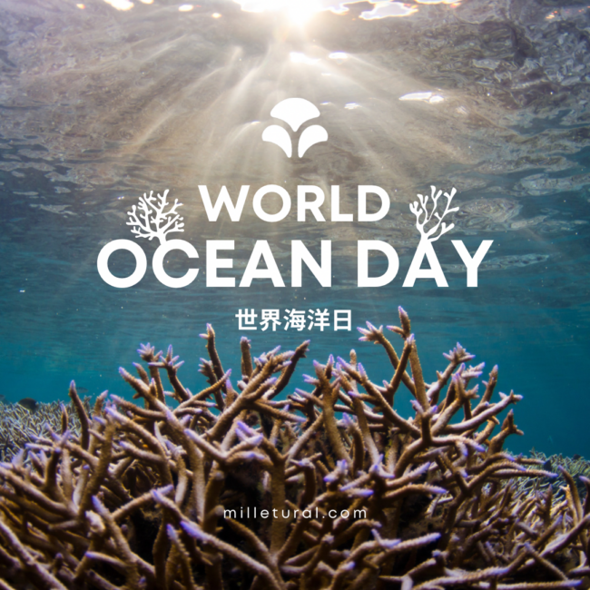 世界海洋日 海洋 洗髮精推薦 沐浴乳 潛水