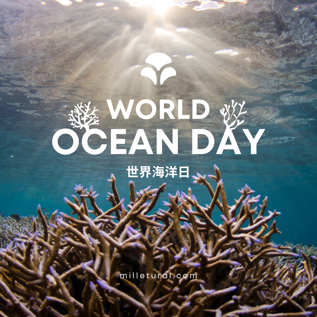 世界海洋日 海洋 洗髮精推薦 沐浴乳 潛水